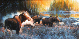 Tableau original de Gisèle Benoit peintre animalière et naturaliste, huile sur toile, scène de la faune canadienne, galerie d’art, Centre Monique et Gisèle Benoit, Sainte-Anne-des-Monts, Gaspésie, art animalier, musée, exposition, peintures, cadres. Scène d'automne, orignaux, cervidés.